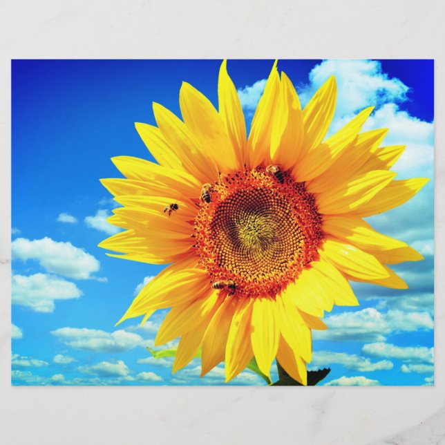 Gult Solrosboner Reklamblad (Framsidan)