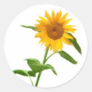 Gult Solrosbrickor Blommigt Stickers Runt Klistermärke