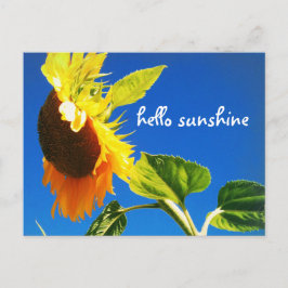 Gult Solrosfoto Hej Solskensskript fet Vykort