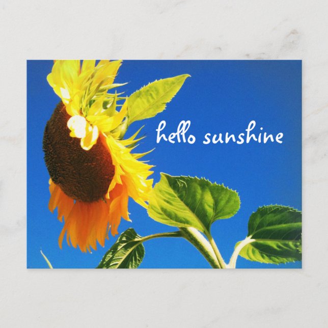 Gult Solrosfoto Hej Solskensskript fet Vykort (Framsida)