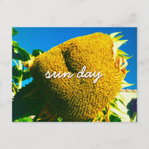 Gult Solrosfoto Sol Day-citattecken Vykort
