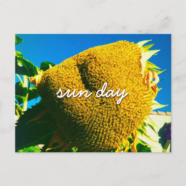 Gult Solrosfoto Sol Day-citattecken Vykort (Framsida)