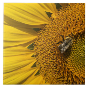 Gult Solroshonungsbi keramikplattan Kakelplatta