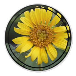 Gult Solroskeramisk knopp