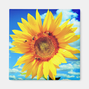 Gult Solrosoljetorn Magnet