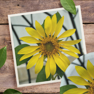 Gult Solrosolkänslig botanisk Blommigt Pappersservett