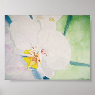 gult speckeled orchid poster