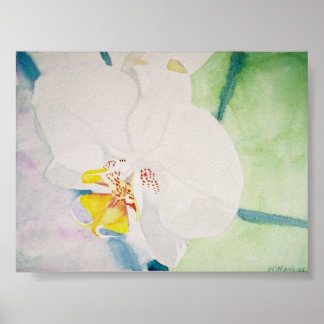 gult-spektakulär orchid poster