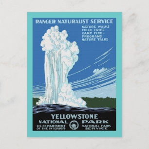 Gult Stone Park - Old Faithful Geyser Vykort