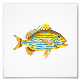 Gult Strepe Fish Beach Nautical Ocean Bathroom Fototryck