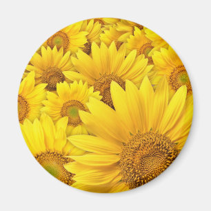 Gult Sunblommor Magnet