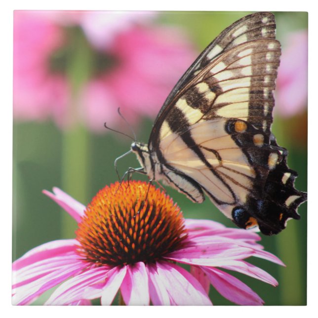 Gult Svärdsvanskål, keramiskt plattor Kakelplatta (Framsidan)