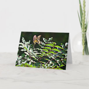 Gult Swallow Scripture Card James 1:17 Kort