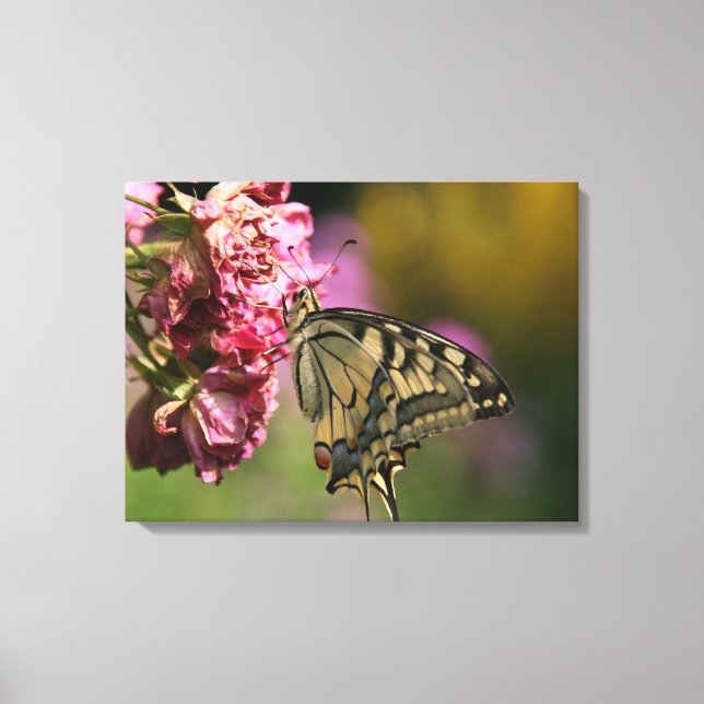 Gult Swallowtail Butterfly Canvas (Framsida)