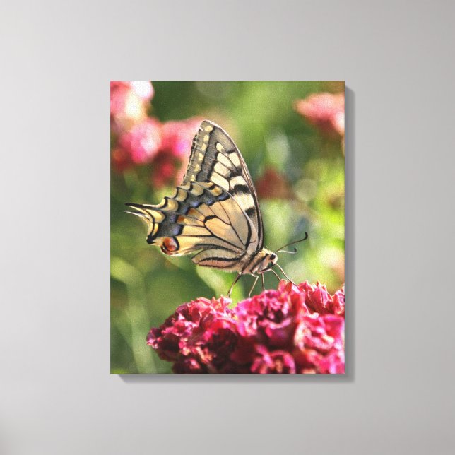 Gult Swallowtail Butterfly Canvas (Framsida)