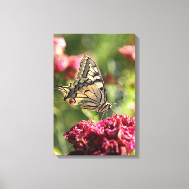 Gult Swallowtail Butterfly Canvas (Framsida)