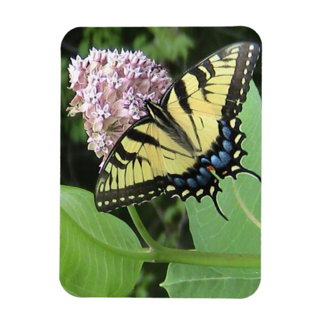 Gult Swallowtail butterfly Flexi Magnet (Vertikal)