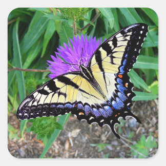 Gult Swallowtail Butterfly Gift Sticker Fyrkantigt Klistermärke