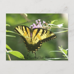 Gult SwallowTail Butterfly Vykort