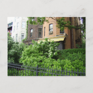 Gult tak och trädgård vykort