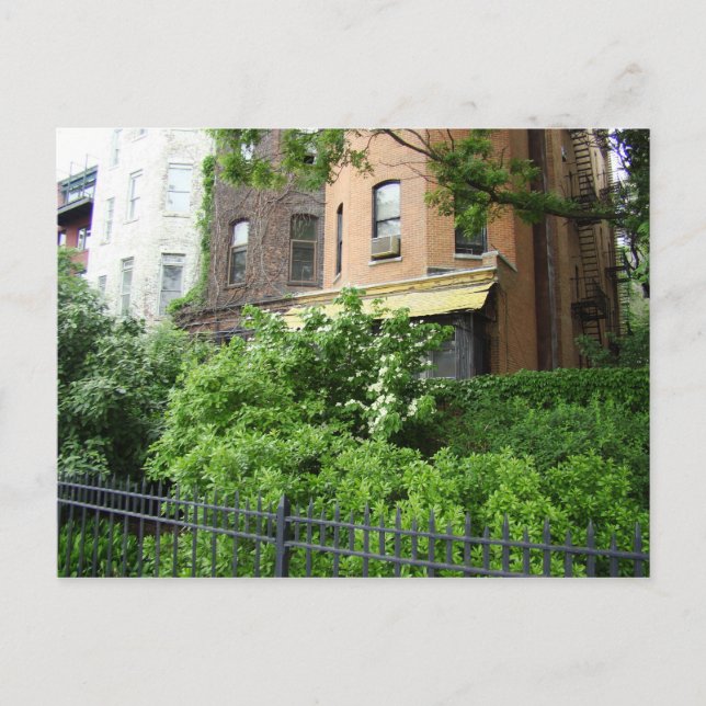 Gult tak och trädgård vykort (Framsida)