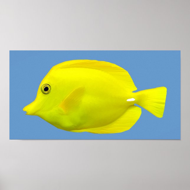 Gult Tang Tropical Fish Poster (Framsidan)