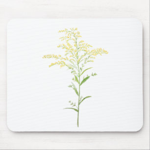 gult tidigt goldenrods vattenfärgsmålning musmatta