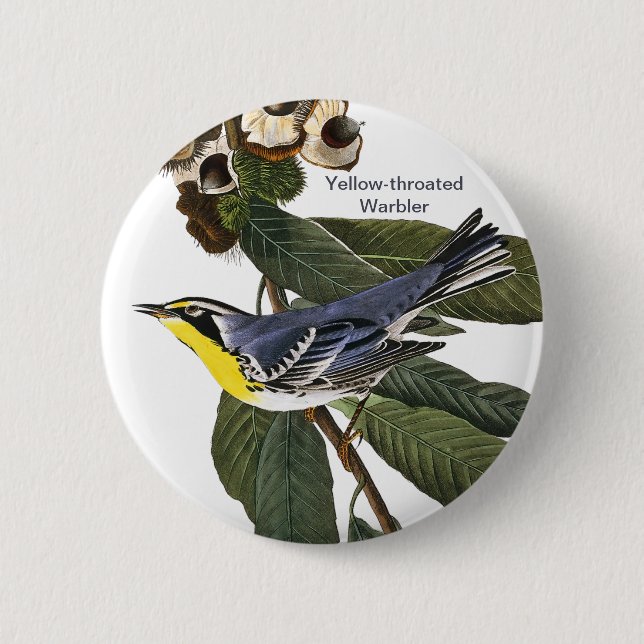 Gult-torkad Warbler, John James Audubon, Bird Knapp (Framsida)