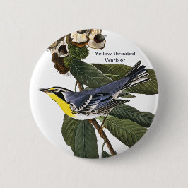 Gult-torkad Warbler, John James Audubon, Bird Knapp