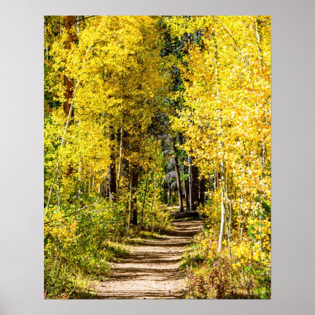 Gult Träd Road // Hickin hösten Poster (Framsidan)