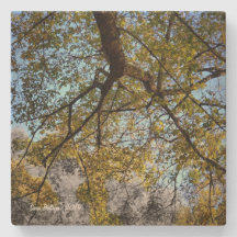 Gult Träd under hösten