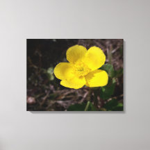 Gult trädgårdsblomma