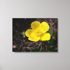 Gult trädgårdsblomma canvastryck