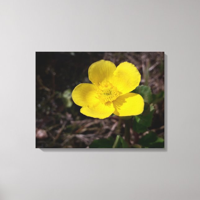 Gult trädgårdsblomma canvastryck (Framsida)