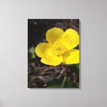 Gult trädgårdsblomma