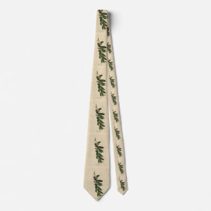Gult Trollatjägare Audubon's Birds of America Slips