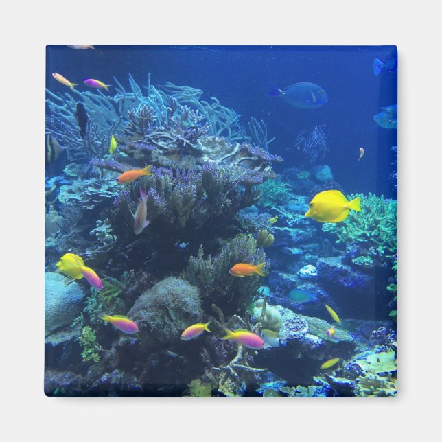 Gult Tropiska fiskar Magnet (Framsidan)