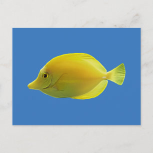 Gult Tropiska fiskar Vykort