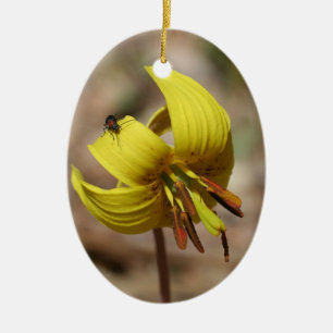 Gult Trout Lily Blommigt Ornament