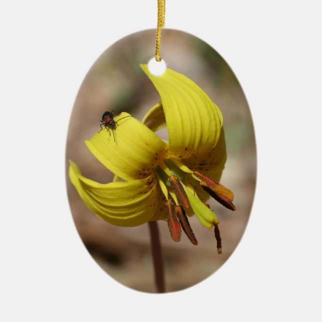 Gult Trout Lily Blommigt Ornament (Framsidan)