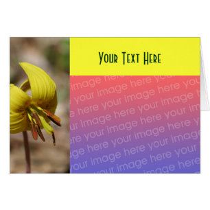 Gult Trout Lily Flower Photo Card Hälsningskort