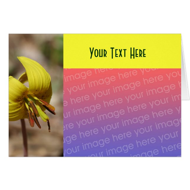 Gult Trout Lily Flower Photo Card Hälsningskort (Framsidan Horizontal)