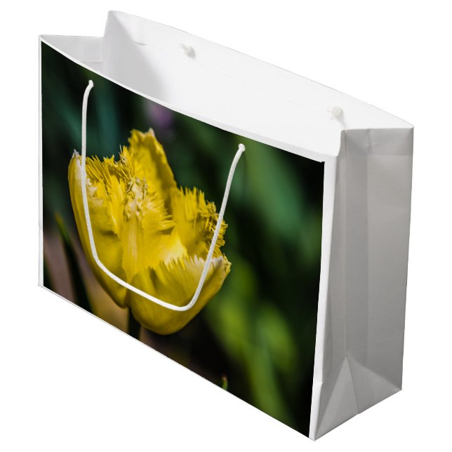 Gult Tulip (Framsidan Vinklad)