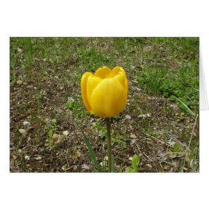 Gult Tulip Blank Card Hälsningskort