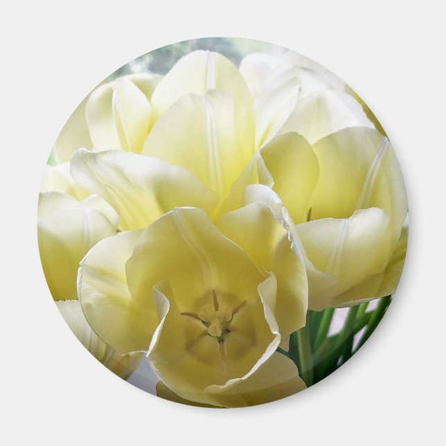 Gult Tulip Bouquet Magnet (Framsidan)