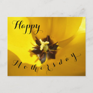 Gult Tulip Close Up Lycklig Mothersday Postcard Vykort