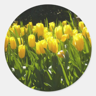 Gult Tulip Garden Runt Klistermärke