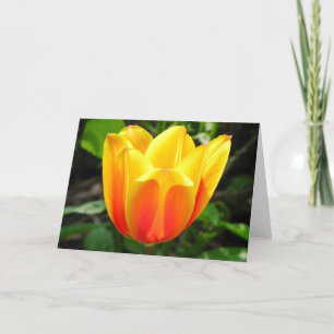 Gult Tulip-hälsningskort Kort