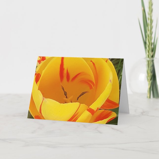 Gult Tulip-hälsningskort Kort (Framsida)