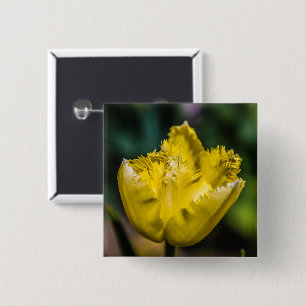 Gult Tulip Knapp